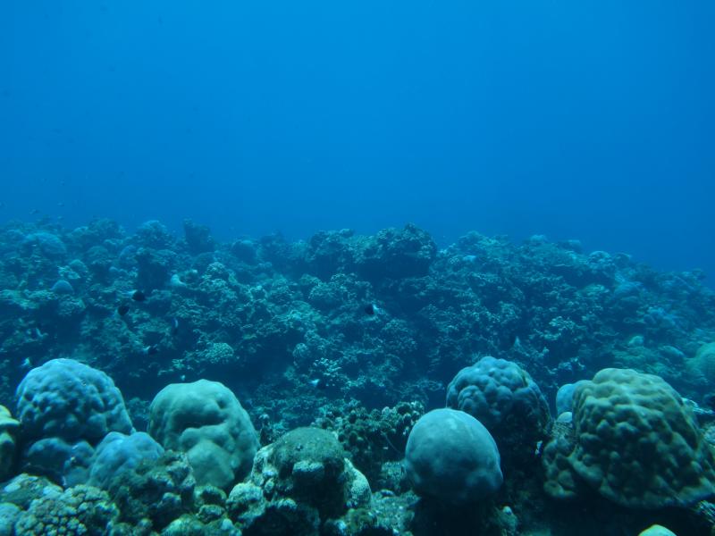 Vue du site 3